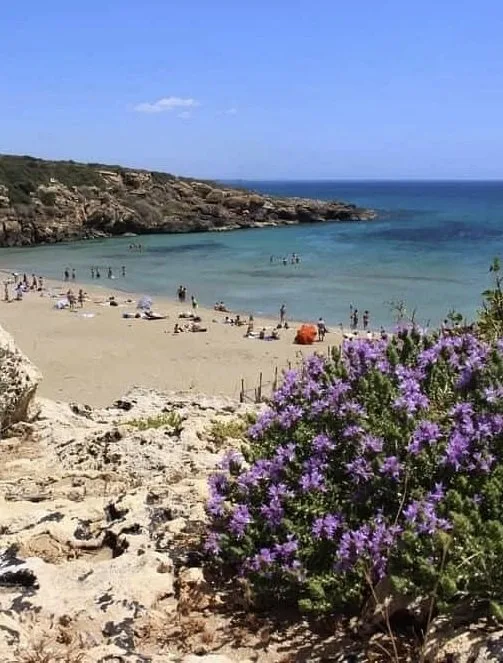 spiaggia calamosche