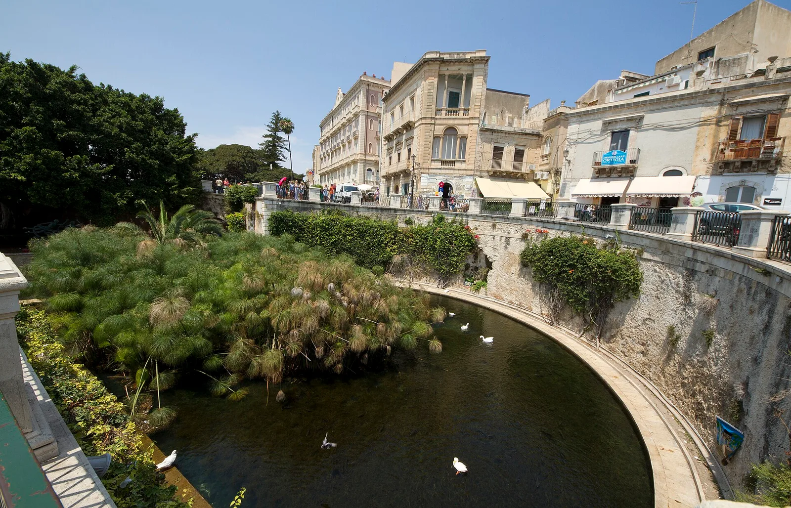 fonte aretusa — Wikimedia Commons