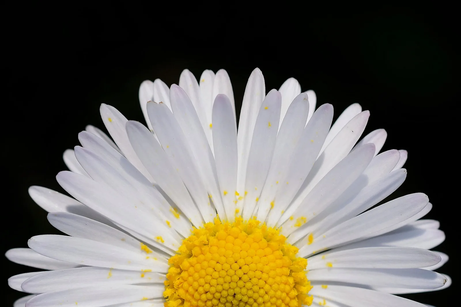 melilli — Wikimedia Commons